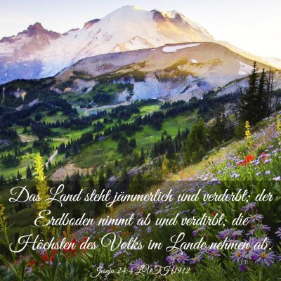 Picture 03 - Jesaja 24:4 LUTH1912 - Das Land steht jämmerlich und verderbt; der - Bible Verse Picture