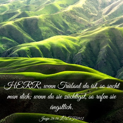 Picture 03 - Jesaja 26:16 LUTH1912 - HERR, wenn Trübsal da ist, so sucht man dich; - Bible Verse Picture