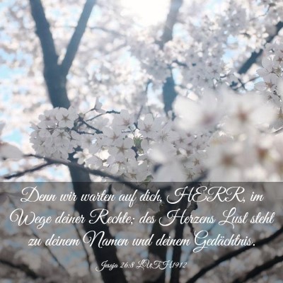 Picture 03 - Jesaja 26:8 LUTH1912 - Denn wir warten auf dich, HERR, im Wege deiner - Bible Verse Picture