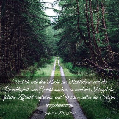 Picture 03 - Jesaja 28:17 LUTH1912 - Und ich will das Recht zur Richtschnur und die - Bible Verse Picture