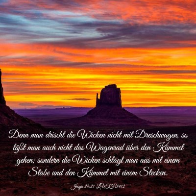 Picture 03 - Jesaja 28:27 LUTH1912 - Denn man drischt die Wicken nicht mit - Bible Verse Picture