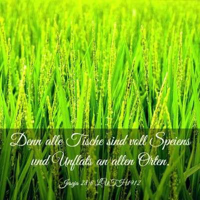 Picture 03 - Jesaja 28:8 LUTH1912 - Denn alle Tische sind voll Speiens und Unflats an - Bible Verse Picture