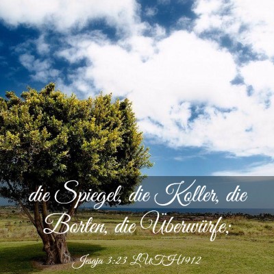 Picture 03 - Jesaja 3:23 LUTH1912 - die Spiegel, die Koller, die Borten, die - Bible Verse Picture