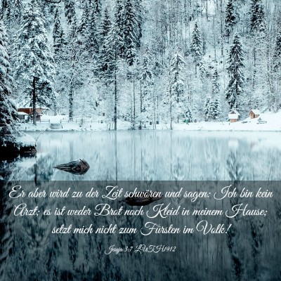 Picture 03 - Jesaja 3:7 LUTH1912 - Er aber wird zu der Zeit schwören und sagen: Ich - Bible Verse Picture