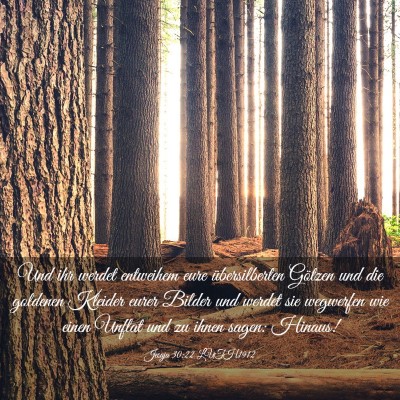 Picture 03 - Jesaja 30:22 LUTH1912 - Und ihr werdet entweihem eure übersilberten - Bible Verse Picture
