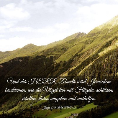 Picture 03 - Jesaja 31:5 LUTH1912 - Und der HERR Zebaoth wird Jerusalem beschirmen, - Bible Verse Picture