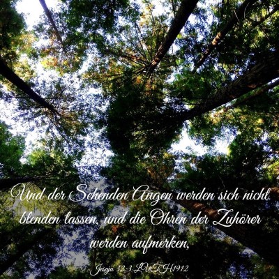Picture 03 - Jesaja 32:3 LUTH1912 - Und der Sehenden Augen werden sich nicht blenden - Bible Verse Picture