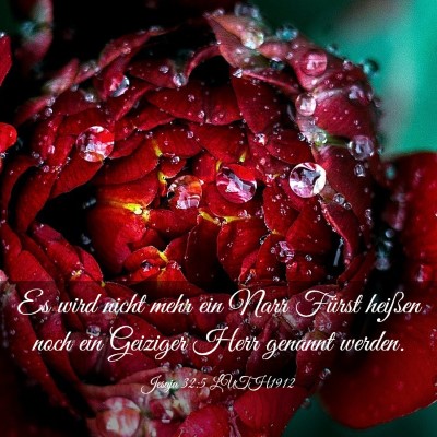 Picture 03 - Jesaja 32:5 LUTH1912 - Es wird nicht mehr ein Narr Fürst heißen noch - Bible Verse Picture