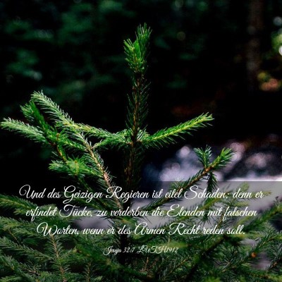 Picture 03 - Jesaja 32:7 LUTH1912 - Und des Geizigen Regieren ist eitel Schaden; denn - Bible Verse Picture