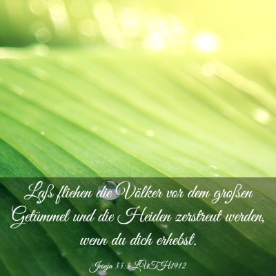 Picture 03 - Jesaja 33:3 LUTH1912 - Laß fliehen die Völker vor dem großen - Bible Verse Picture