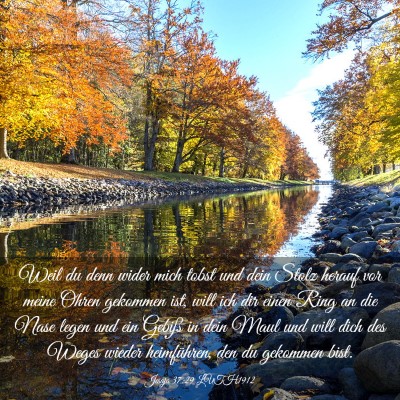 Picture 03 - Jesaja 37:29 LUTH1912 - Weil du denn wider mich tobst und dein Stolz - Bible Verse Picture