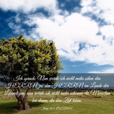 Picture 03 - Jesaja 38:11 LUTH1912 - Ich sprach: Nun werde ich nicht mehr sehen den - Bible Verse Picture