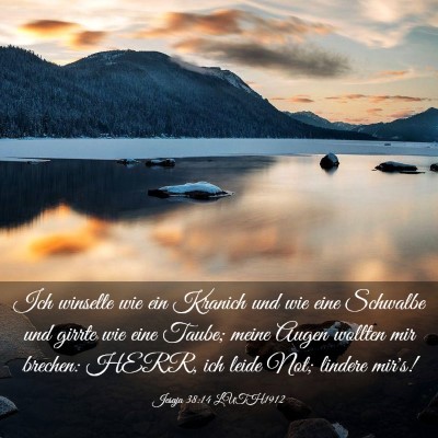 Picture 03 - Jesaja 38:14 LUTH1912 - Ich winselte wie ein Kranich und wie eine - Bible Verse Picture