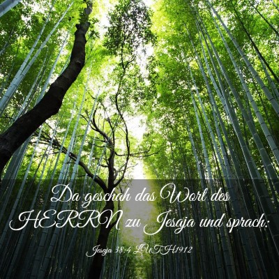 Picture 03 - Jesaja 38:4 LUTH1912 - Da geschah das Wort des HERRN zu Jesaja und - Bible Verse Picture