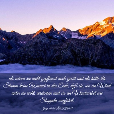 Picture 03 - Jesaja 40:24 LUTH1912 - als wären sie nicht gepflanzt noch gesät und - Bible Verse Picture