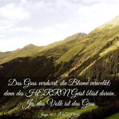 Picture 03 - Jesaja 40:7 LUTH1912 - Das Gras verdorrt, die Blume verwelkt; denn des - Bible Verse Picture