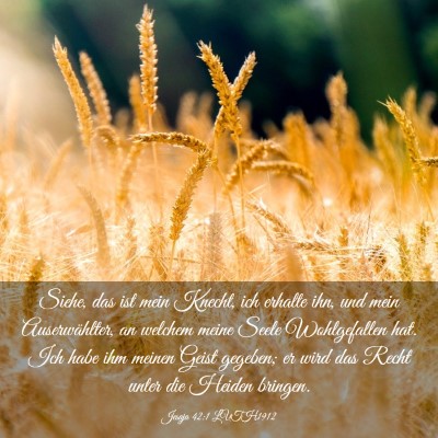 Picture 03 - Jesaja 42:1 LUTH1912 - Siehe, das ist mein Knecht, ich erhalte ihn, und - Bible Verse Picture