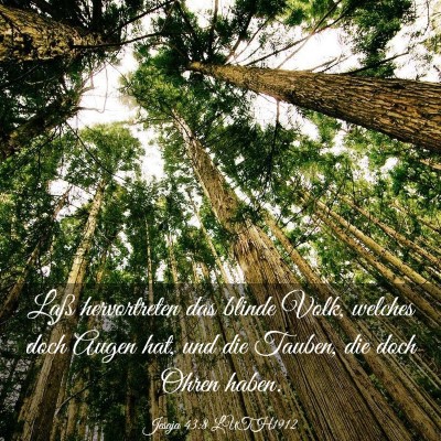 Picture 03 - Jesaja 43:8 LUTH1912 - Laß hervortreten das blinde Volk, welches doch - Bible Verse Picture