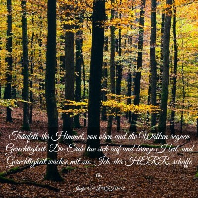 Picture 03 - Jesaja 45:8 LUTH1912 - Träufelt, ihr Himmel, von oben und die Wolken - Bible Verse Picture