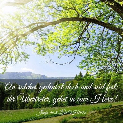 Picture 03 - Jesaja 46:8 LUTH1912 - An solches gedenket doch und seid fest; ihr - Bible Verse Picture