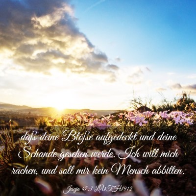 Picture 03 - Jesaja 47:3 LUTH1912 - daß deine Blöße aufgedeckt und deine Schande - Bible Verse Picture