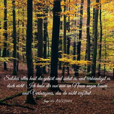 Picture 03 - Jesaja 48:6 LUTH1912 - Solches alles hast du gehört und siehst es, und - Bible Verse Picture