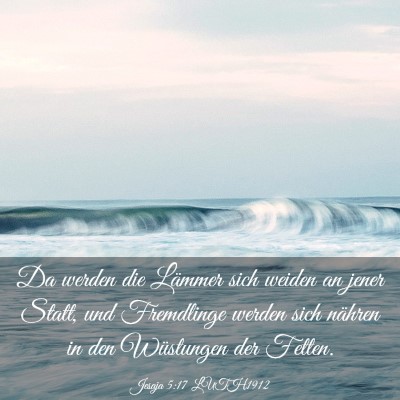 Picture 03 - Jesaja 5:17 LUTH1912 - Da werden die Lämmer sich weiden an jener Statt, - Bible Verse Picture