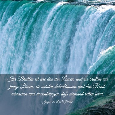 Picture 03 - Jesaja 5:29 LUTH1912 - Ihr Brüllen ist wie das der Löwen, und sie - Bible Verse Picture