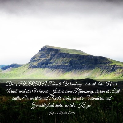 Picture 03 - Jesaja 5:7 LUTH1912 - Des HERRN Zebaoth Weinberg aber ist das Haus - Bible Verse Picture
