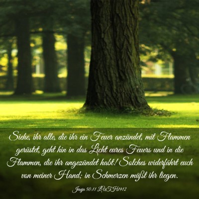 Picture 03 - Jesaja 50:11 LUTH1912 - Siehe, ihr alle, die ihr ein Feuer anzündet, mit - Bible Verse Picture