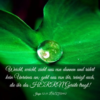 Picture 03 - Jesaja 52:11 LUTH1912 - Weicht, weicht, zieht aus von dannen und rührt - Bible Verse Picture
