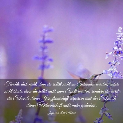 Picture 03 - Jesaja 54:4 LUTH1912 - Fürchte dich nicht, denn du sollst nicht zu - Bible Verse Picture