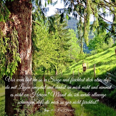 Picture 03 - Jesaja 57:11 LUTH1912 - Vor wem bist du so in Sorge und fürchtest dich - Bible Verse Picture