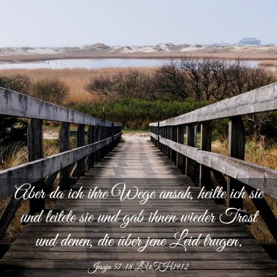 Picture 03 - Jesaja 57:18 LUTH1912 - Aber da ich ihre Wege ansah, heilte ich sie und - Bible Verse Picture