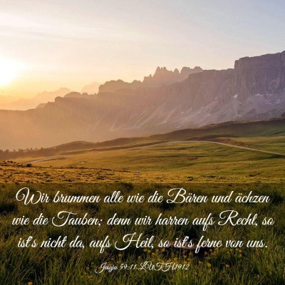 Picture 03 - Jesaja 59:11 LUTH1912 - Wir brummen alle wie die Bären und ächzen wie - Bible Verse Picture