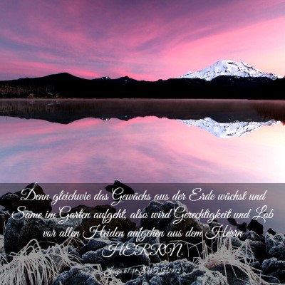 Picture 03 - Jesaja 61:11 LUTH1912 - Denn gleichwie das Gewächs aus der Erde wächst - Bible Verse Picture