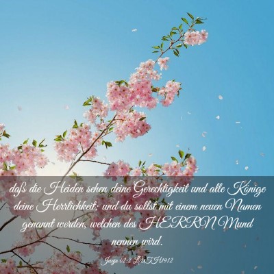 Picture 03 - Jesaja 62:2 LUTH1912 - daß die Heiden sehen deine Gerechtigkeit und - Bible Verse Picture