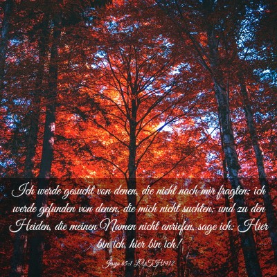 Picture 03 - Jesaja 65:1 LUTH1912 - Ich werde gesucht von denen, die nicht nach mir - Bible Verse Picture