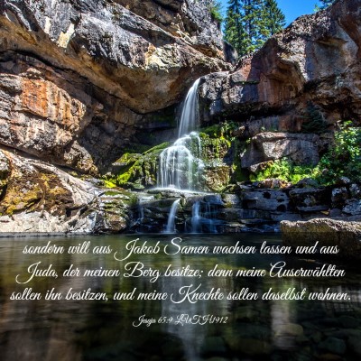 Picture 03 - Jesaja 65:9 LUTH1912 - sondern will aus Jakob Samen wachsen lassen und - Bible Verse Picture