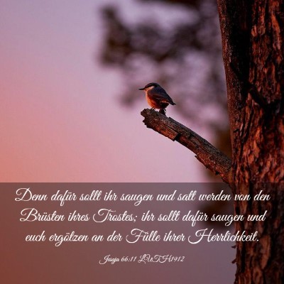 Picture 03 - Jesaja 66:11 LUTH1912 - Denn dafür sollt ihr saugen und satt werden von - Bible Verse Picture