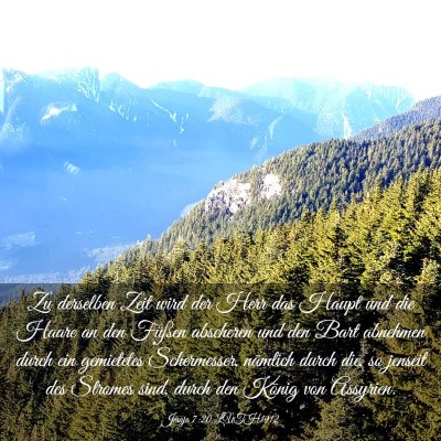 Picture 03 - Jesaja 7:20 LUTH1912 - Zu derselben Zeit wird der Herr das Haupt und die - Bible Verse Picture