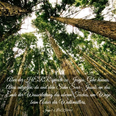 Picture 03 - Jesaja 7:3 LUTH1912 - Aber der HERR sprach zu Jesaja: Gehe hinaus, Ahas - Bible Verse Picture