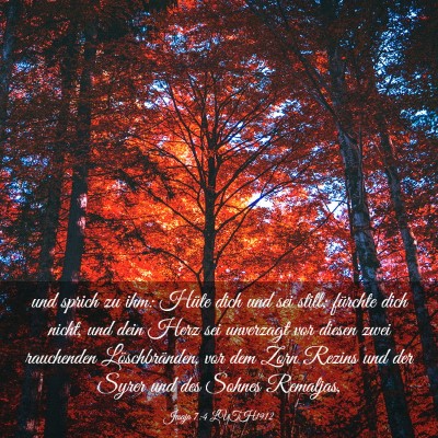 Picture 03 - Jesaja 7:4 LUTH1912 - und sprich zu ihm: Hüte dich und sei still; - Bible Verse Picture