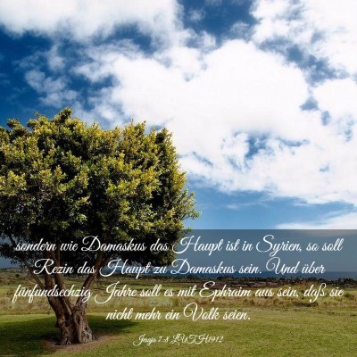Picture 03 - Jesaja 7:8 LUTH1912 - sondern wie Damaskus das Haupt ist in Syrien, so - Bible Verse Picture