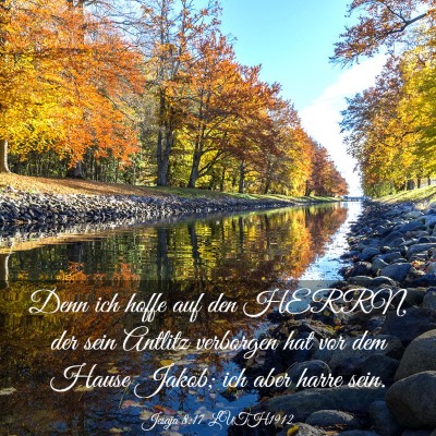 Picture 03 - Jesaja 8:17 LUTH1912 - Denn ich hoffe auf den HERRN, der sein Antlitz - Bible Verse Picture