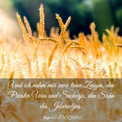 Picture 03 - Jesaja 8:2 LUTH1912 - Und ich nahm mir zwei treue Zeugen, den Priester - Bible Verse Picture