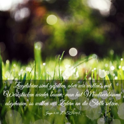 Picture 03 - Jesaja 9:10 LUTH1912 - Ziegelsteine sind gefallen, aber wir wollen's mit - Bible Verse Picture
