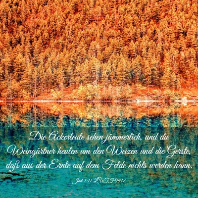 Picture 03 - Joel 1:11 LUTH1912 - Die Ackerleute sehen jämmerlich, und die - Bible Verse Picture