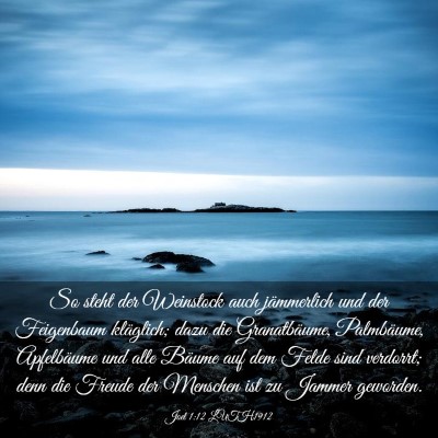 Picture 03 - Joel 1:12 LUTH1912 - So steht der Weinstock auch jämmerlich und der - Bible Verse Picture
