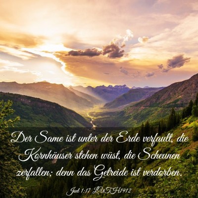 Picture 03 - Joel 1:17 LUTH1912 - Der Same ist unter der Erde verfault, die - Bible Verse Picture